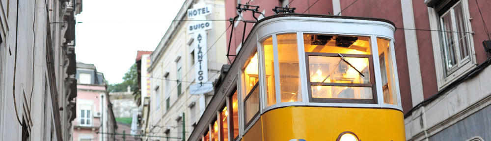 만화신문 리얼툰